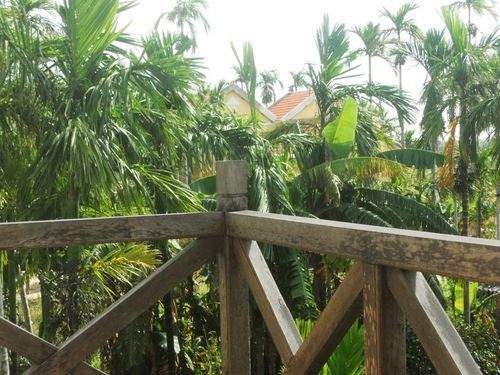 Lila Homestay Hoi An Exteriér fotografie