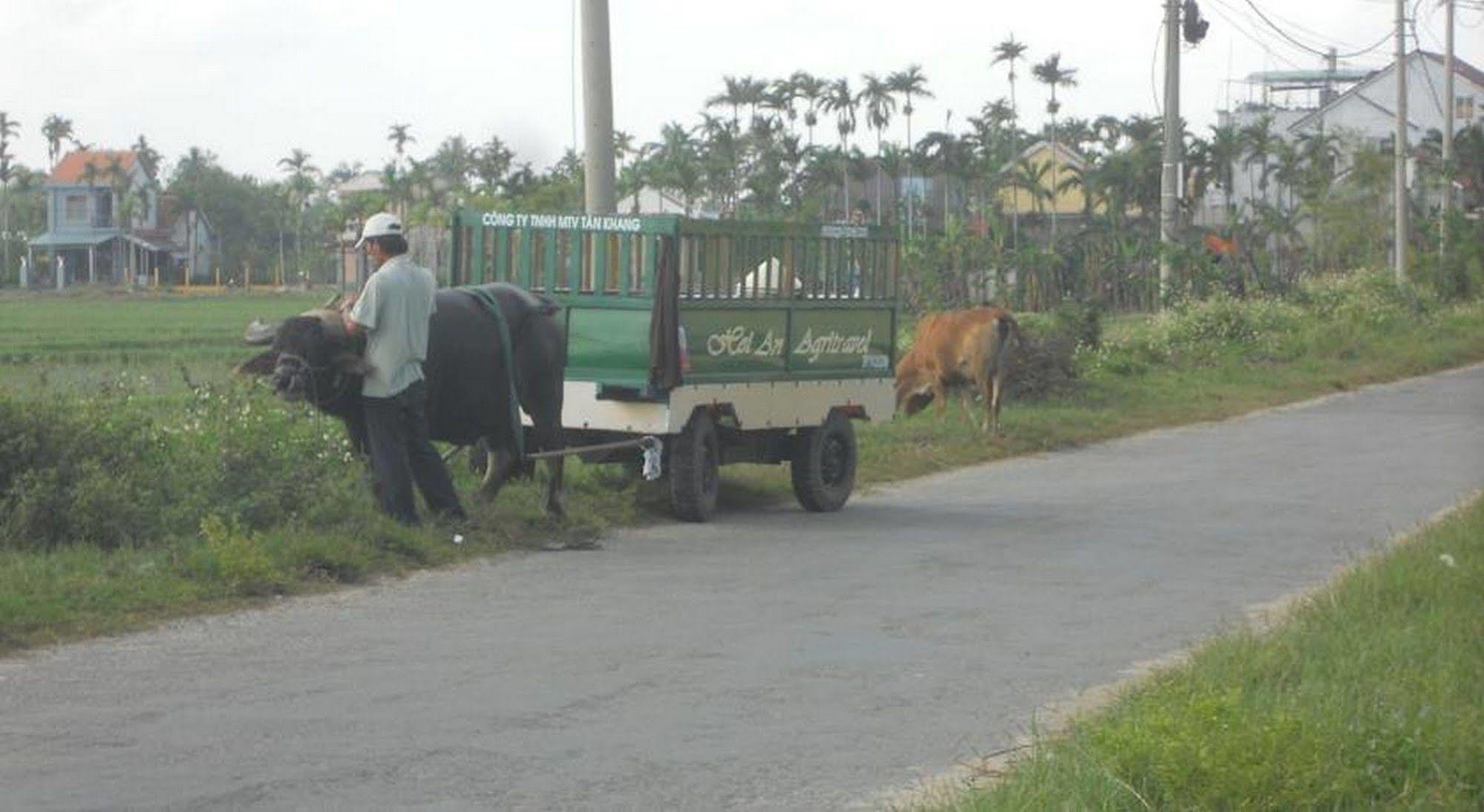 Lila Homestay Hoi An Exteriér fotografie